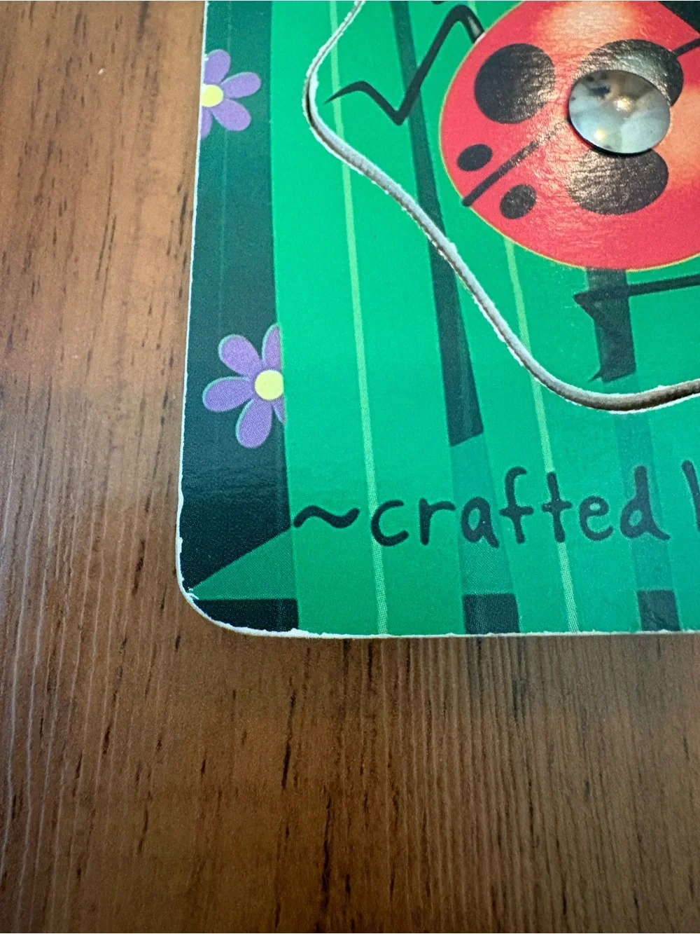 Melissa & Doug Magnetic Bug-Catching Game